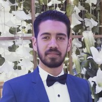 kamel ahmed