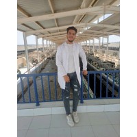 Sabry Ahmed Mahrous