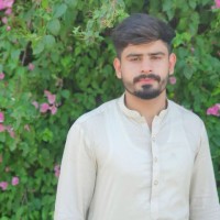 Ali Hassan Hassan