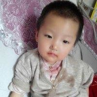 张鸿超