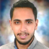Abdelrahman Yahia Elkobrosy