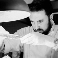 Adam Wilson