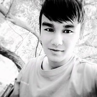 沙地力