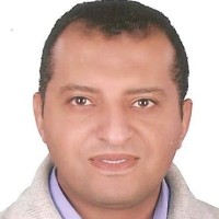 Amr Yakout Sultan