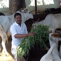 Perumalla Veera Venkata sathyanarayana
