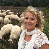 Yvonne Nijdam-Groen