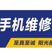 詹伟东