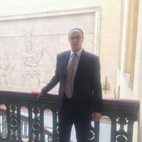 Mohamed Ibrahim