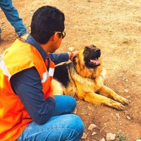 Jose Andres Fabian Ramirez