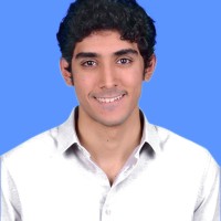 Hussein T.