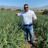 Ing. Juan De Dios Castillo