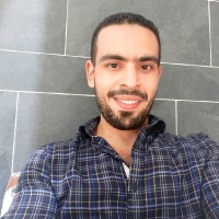 Hazem Khairy Elshatanofy
