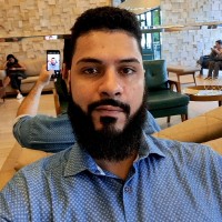 Luiz Felipe Alves Vieira