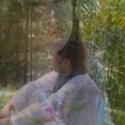 Meraj Gul