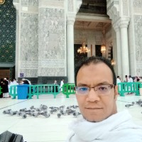 Amr Mohamed