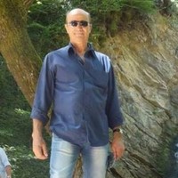 nino roggia