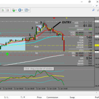 Mike Forex Trader