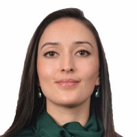 Ana B Arevalo Molina