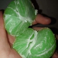 黎永清