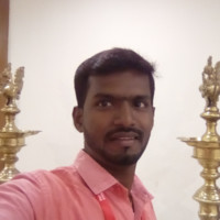 Karthik Raja S