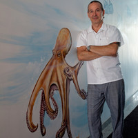 Tony Sindaco