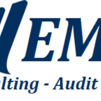 EMEX CONSULTING