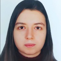 Dilara ARI DEMİR