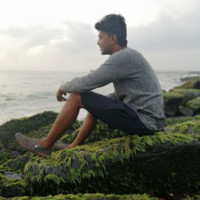 Karthikraja S