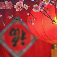阿米娜