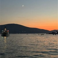 لولوه الدوسري