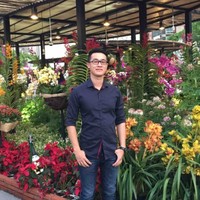 Minh Đỗ