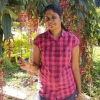 Divya Ts