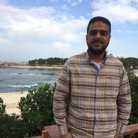 Wael Ibrahim