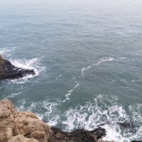 吴伟东