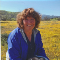 Jenny Langford