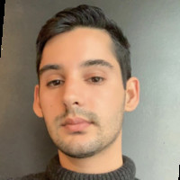 Rafael (Rafi) Levy