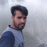 Narendra Sharma