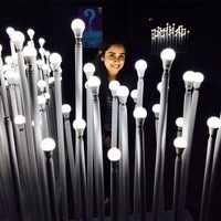 Juhi Kapur