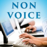 Non Voice Team