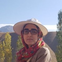 Niloofar Moslehi