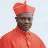 peter Cardinal