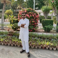 Sajid ali Khan