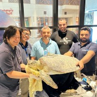 Hussain Al Sayegh MSc