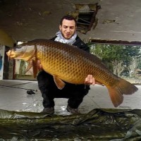 Mika Mandier carpe fishing