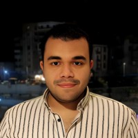 Ahmed M. Boghdady