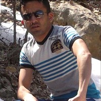 Haider Seed