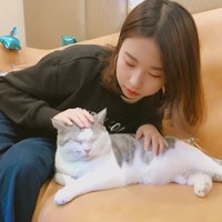刘晨曦