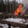 Aila Aino Seppänen