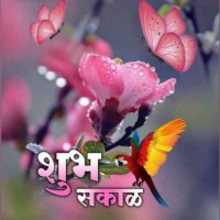 Nilima Ghodake