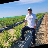 Elfer José Ojeda Castillo